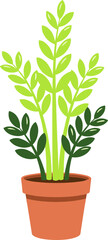 Fototapeta premium Flat Style Simple Zamioculcas Zamiifolia Plant in Pot Illustration