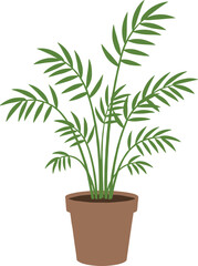 Fototapeta premium Simple Flat Illustration of Indoor Parlor Palm Houseplant in Pot