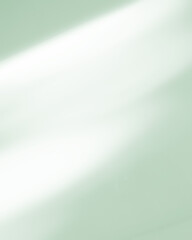 Background green abstract line shadow overlay on cement wall floor beige mockup product cosmetic summer tropical nature presentation frame template eco backdrop environment