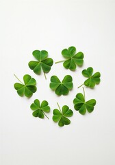 Clover leaf Display: A meticulously arranged cluster of fresh, vibrant green clover leaves, each with its distinctive trefoil shape, arranged in an aesthetically pleasing display.