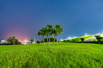 夜の宮崎マリーナと命の丘