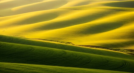 Rolling Hills Under Golden Light.