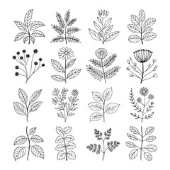 Naklejka premium Floral Line Art Collection Hand Drawn Flowers and Leaves Botanical Vector Illustration