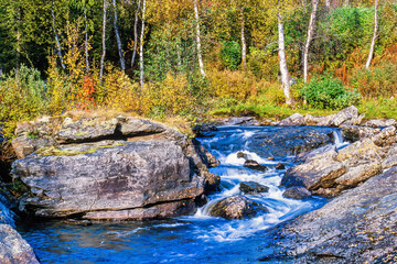 Stream in a forest with beautiful autumn colors