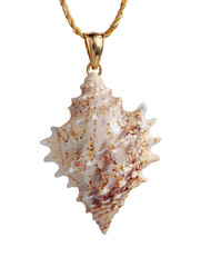 Obraz premium Spiral conch shell pendant with gold bail on a thin rope chain, crystalline ridges and tiny sand specks, isolated on transparent background. 
