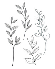 Naklejka premium Dark gray stylized plant sprigs