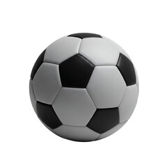 Fototapeta premium Classic soccer ball with black and white panels