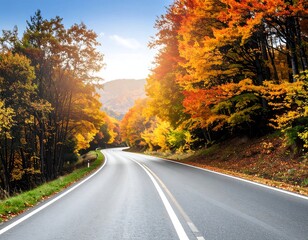 Autumn Road