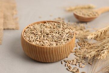 Rye grains in bowl, spoon and spikes on light grey table, closeup