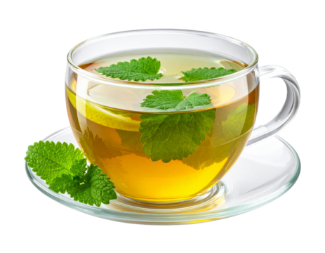 Herbal Lemon Balm Tea in Glass Cup Isolated on Transparent Background