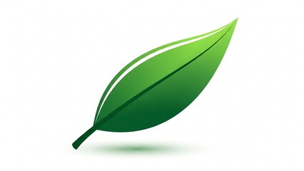 green leaf isolated on white