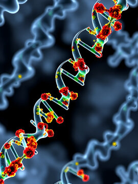 Oncogene: DNA mutation leads to mutated KRAS protein