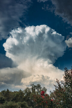 Giant Thunderhead Cloud with Rain Falling