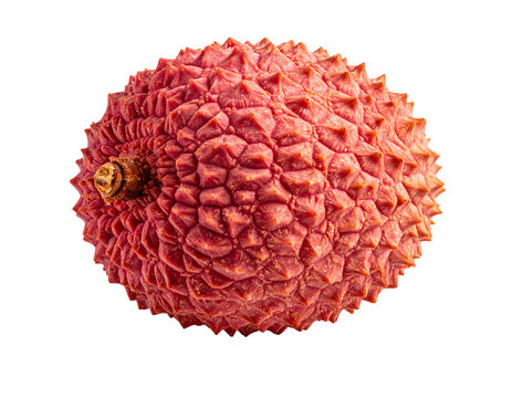  Dried Litchi Fruit with Textured Skin Isolated PNG