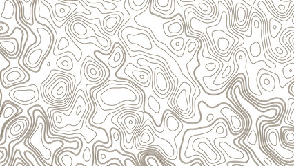 Background of the topographic map. Geographic line mountain relief. Topo map with elevation. Vector illustration