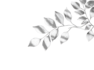 Grayscale branch with leaves