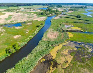 River meanders through diverse wetlands