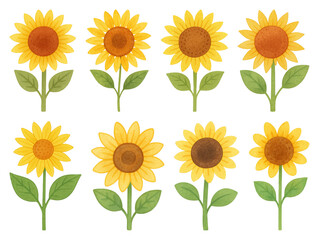 Colorful watercolor sunflower illustrations