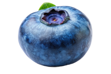 Single fresh blueberry isolated with leaf against dark backdrop for food photography and design isolated on transparent background
