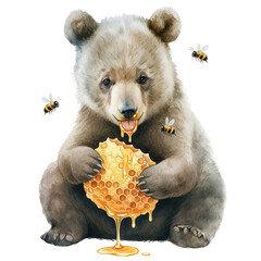 Baby bear with honeycomb watercolor clipart on transparent background