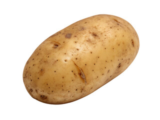 Fresh Russet Potato Isolated on Black