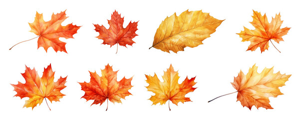 Vibrant watercolor autumn leaves illustration.