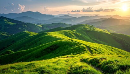 Green landscape featuring rolling grassy hills and a winding path