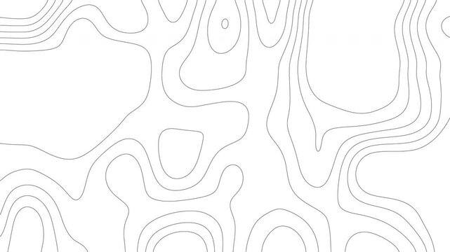 Abstract topography animation pattern dynamic waves motion white background video	
