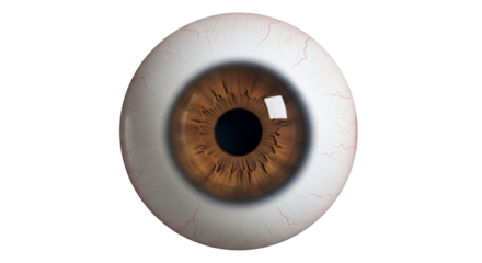 Human Eye Transparent Background