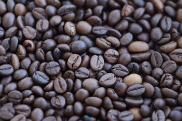 Coffee beans dark background, food ingredient photo