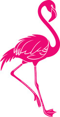 Pink Flamingo Vector illustration. Pink Flamingo on a White Background