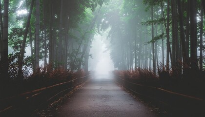 Obraz premium Path Through a Misty Bamboo Forest walkway