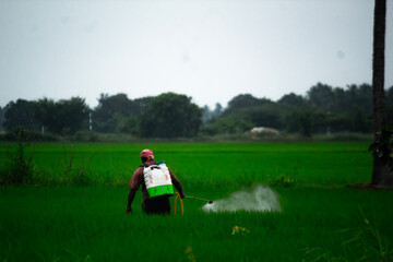 Farmer sprays pesticides on a lush green field under a clear sky, demonstrating modern farming,...