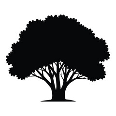 Silhouette of a large majestic tree with full crown and detailed branches silhouette