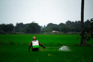 Farmer sprays pesticides on a lush green field under a clear sky, demonstrating modern farming,...