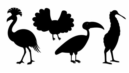 Silhouette illustration showing four different species of birds in a row on a white background design art