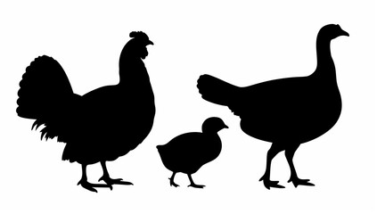 Fototapeta premium Silhouette depiction of a rooster, a chick, and a turkey standing next to each other on a white background