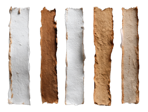 Ripped Paper Strips in Various Shades