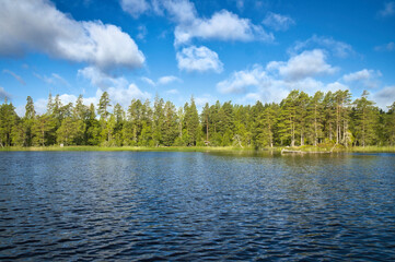 Swedish lake with forest reflection under blue sky on a sunny day