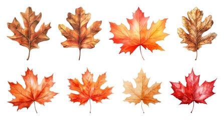 Colorful autumn leaves illustration