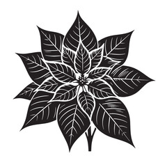 Black Poinsettia Flower Silhouette Vector Illustration design, Solid White Background