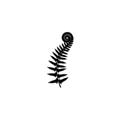 Detailed black silhouette of a unfurling fern frond isolated on for nature design