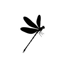 Silhouette of a black dragonfly with spread wings in flight a delicate insect graphic