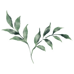 Branched green leaves in watercolor style element