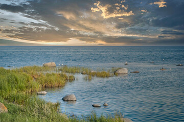 Coastal landscape with sea and bushes under dramatic sky
