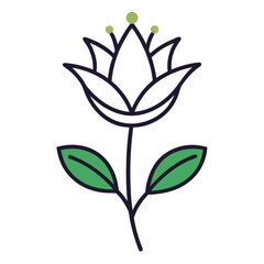 queen of the meadow white line art vector illustration on white