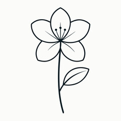 minimal rue anemone  flower line art vector illustration on white background