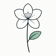 rue anemone line art vector flower  on white