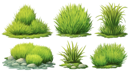 A collection of vibrant, lush grass clumps in various shapes and sizes, set against a simple background, ideal for use in landscaping designs or digital art projects