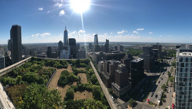 Showing rooftop terrace garden overlooking downtown skyline under bright sun, with manicured hedges